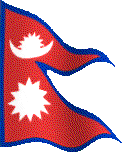 Flag Logo